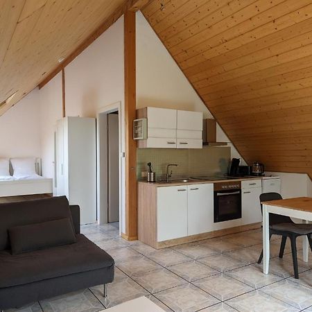Ferienwohnung Am Schoenberg - Ebringen Экстерьер фото